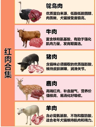 饮食2.png 饮食2.png