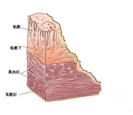 1.jpg 1.jpg