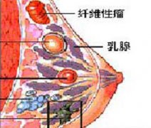 图片7.png 图片7.png