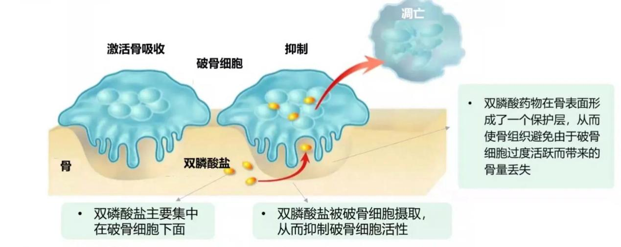 图片12.png 图片12.png