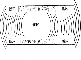 图片1(1).png 图片1(1).png