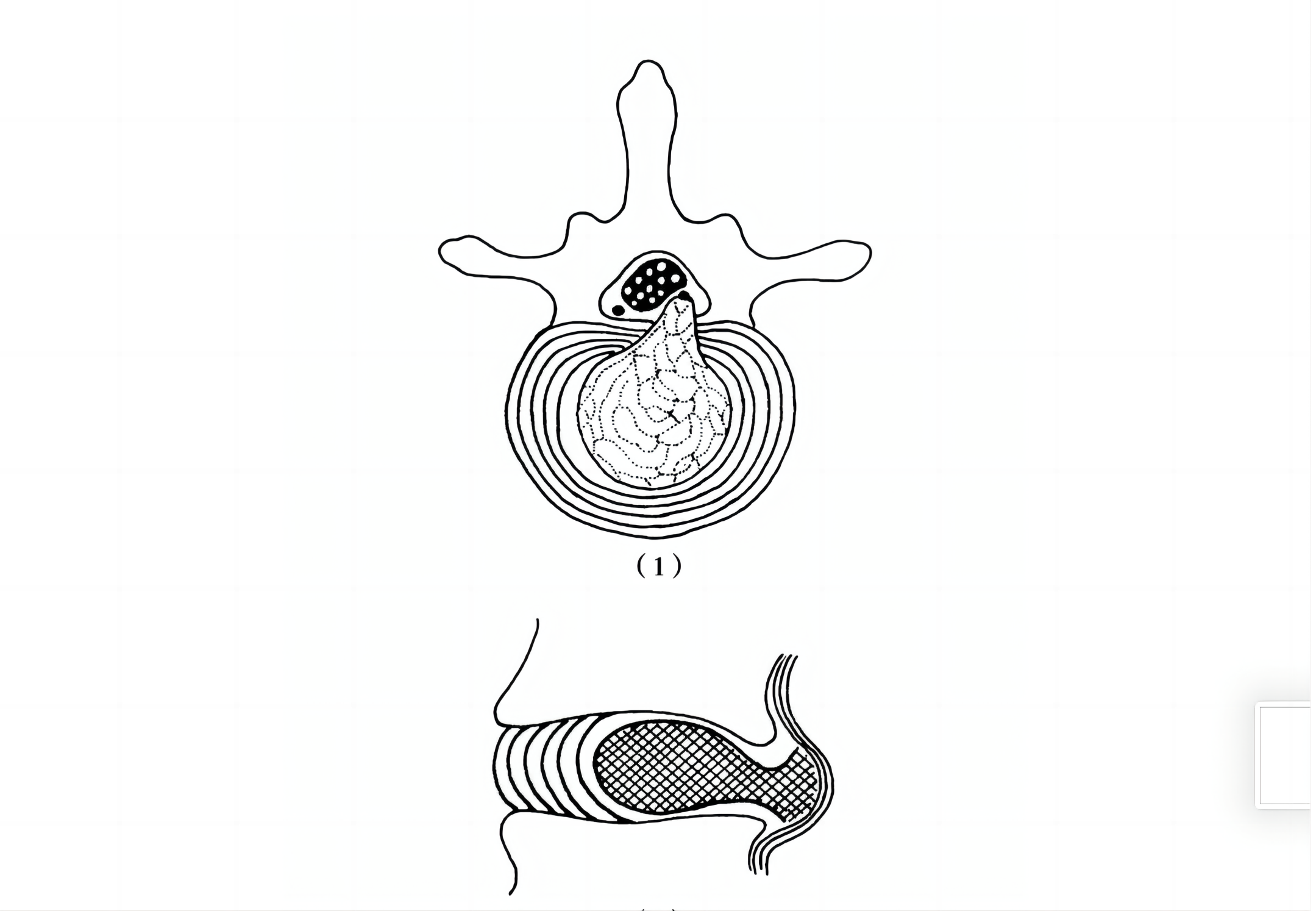 图片2(1).png 图片2(1).png