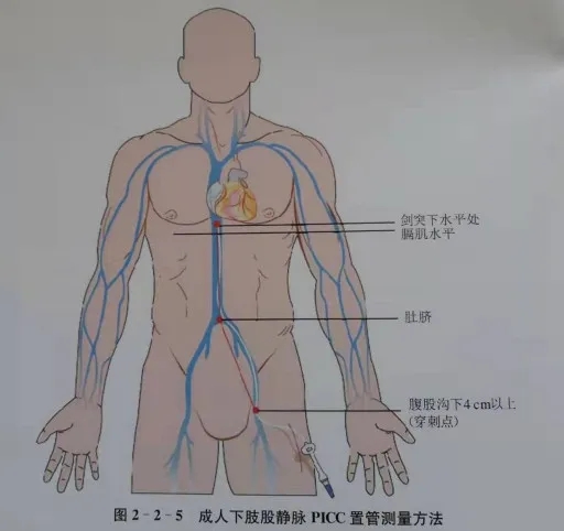 3.jpg 3.jpg